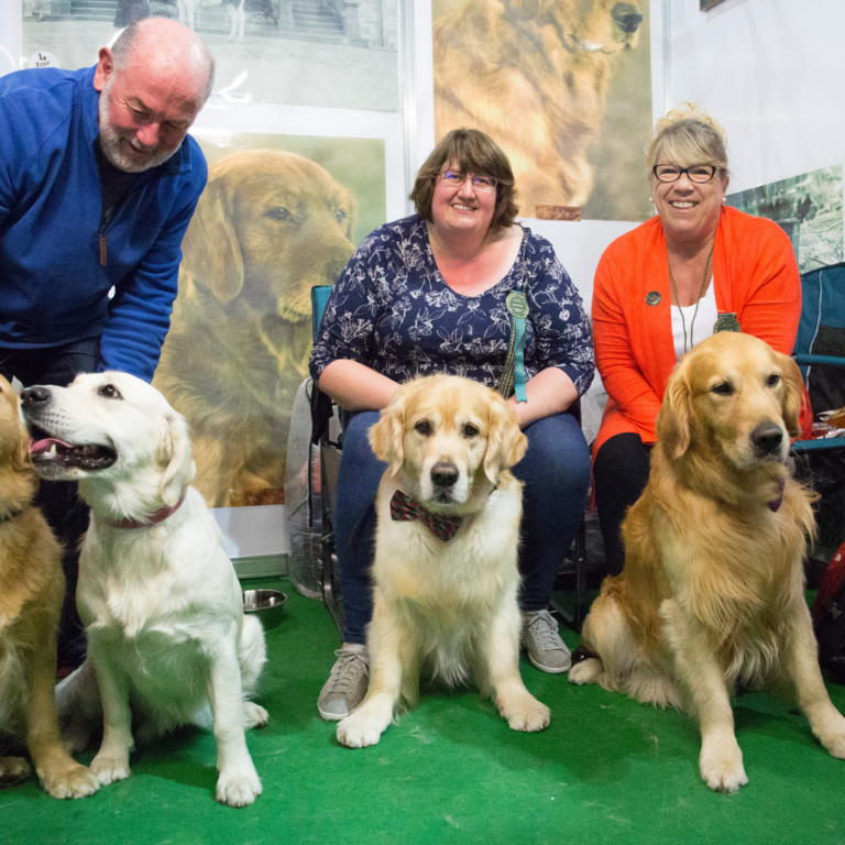 Meet The Breeds The Dog Lover Show